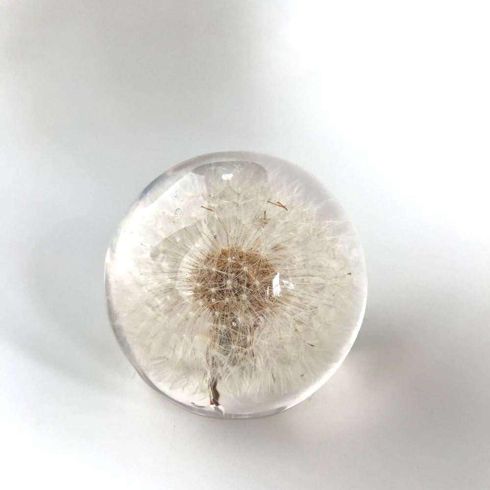 Botanical Dandelion Resin Paperweight